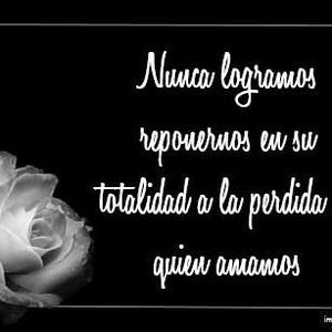 Meet your Posher, Dalila